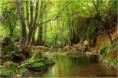 /album/fotogaleria-nuestros-paisajes/sierra-norte-alanis-jpg/